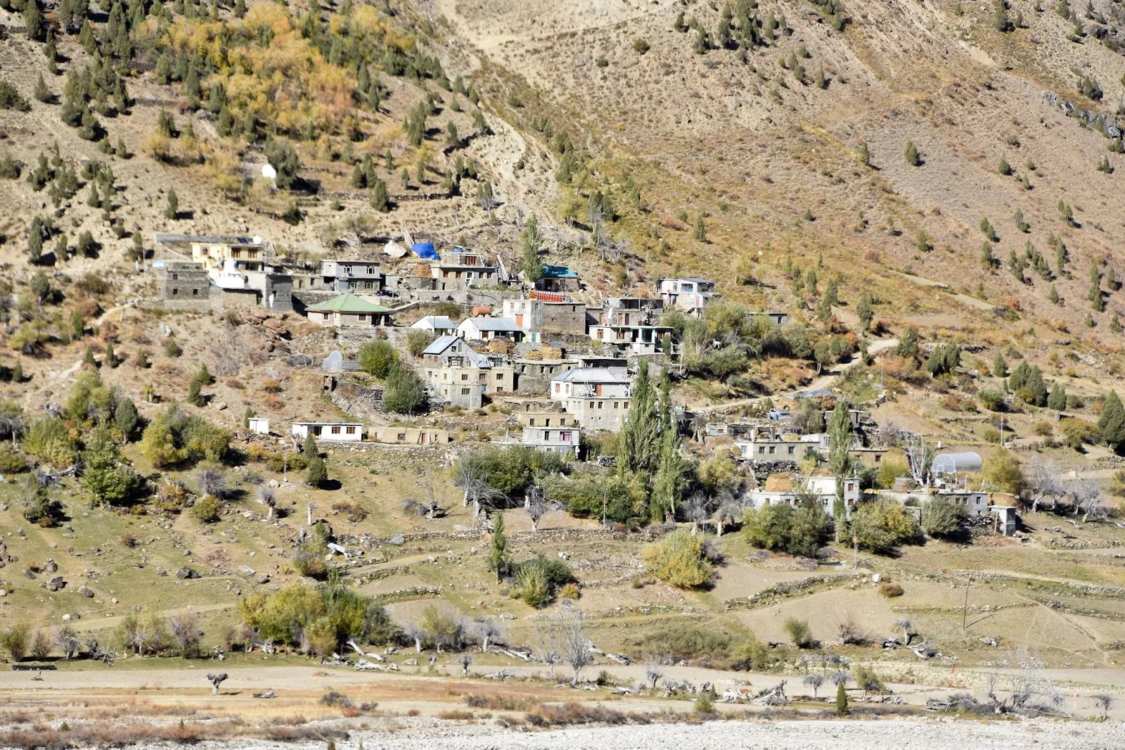 Darcha Sumdo Homestay & Guest House — Trekkers' guest house near Darcha