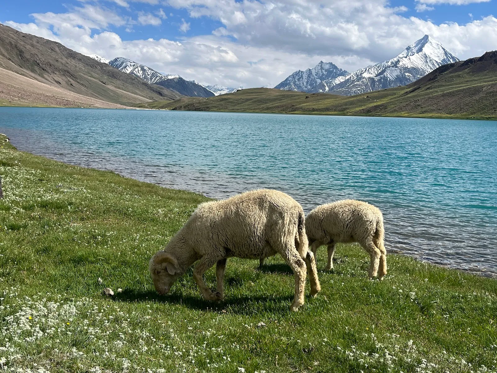 Hotel Spiti Monk thumbnail 4