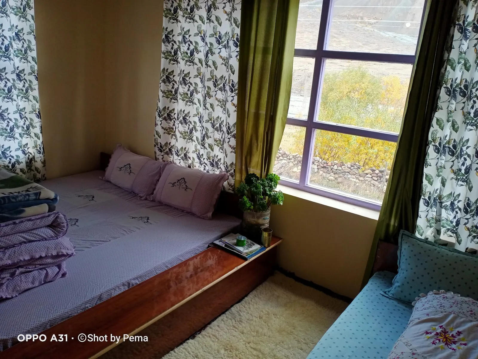 Ibex Home Stay Losar thumbnail 2