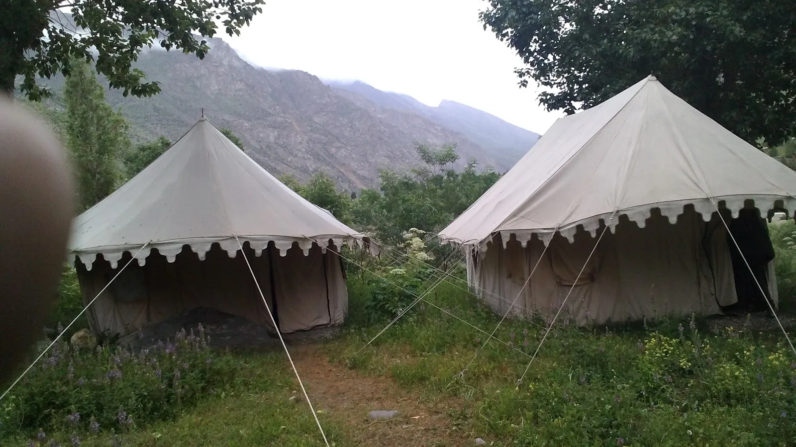 The Jispa Journeys — Luxury Swiss-cottage camp near Jispa