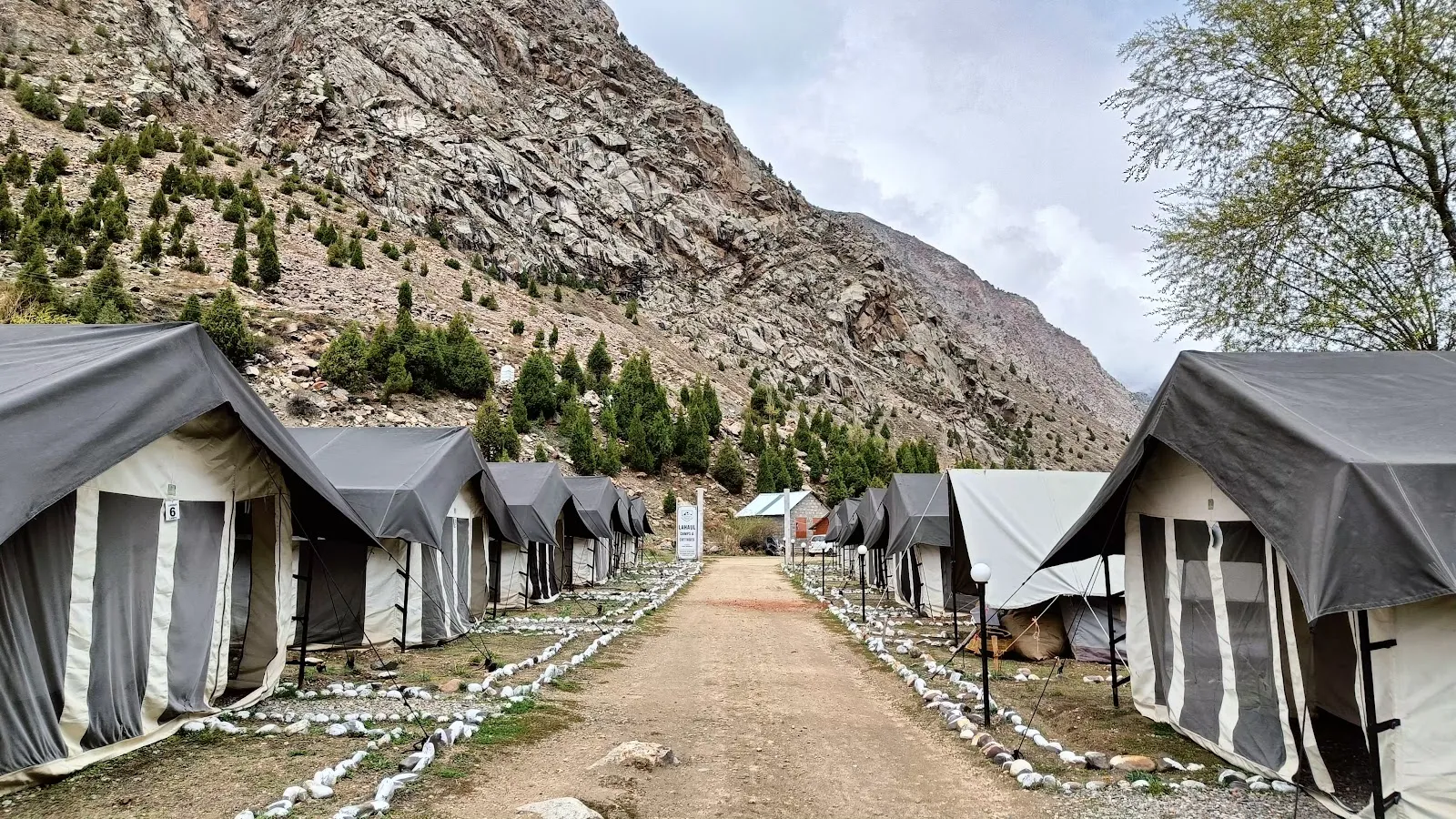 Lahaul Camps & Cottages, Jispa