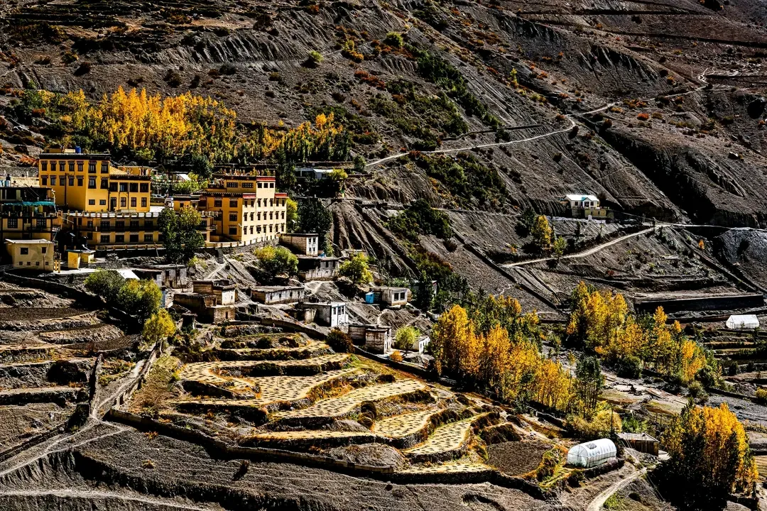 Miklam Homes Spiti, Rangrik