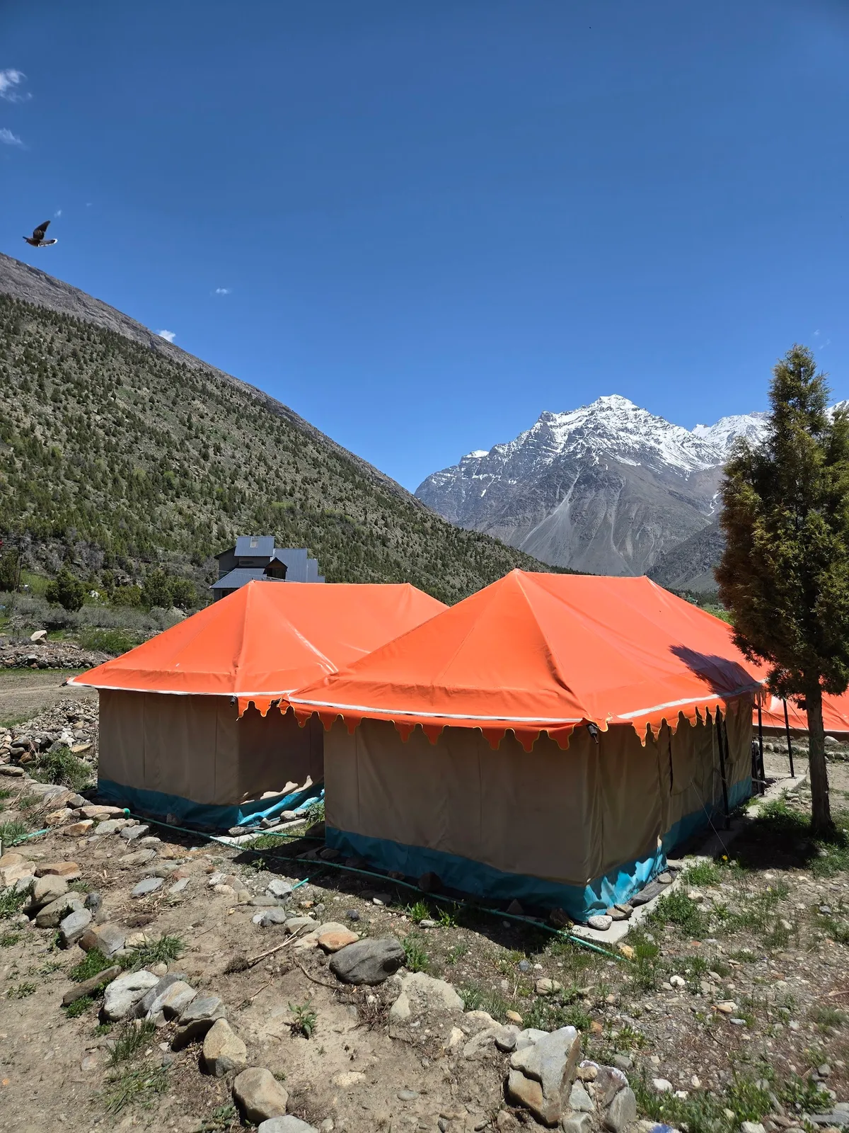 Milky Way Camps Jispa, Jispa