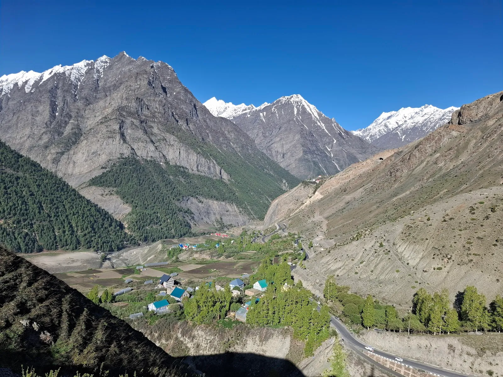Shashni Homestay thumbnail 4