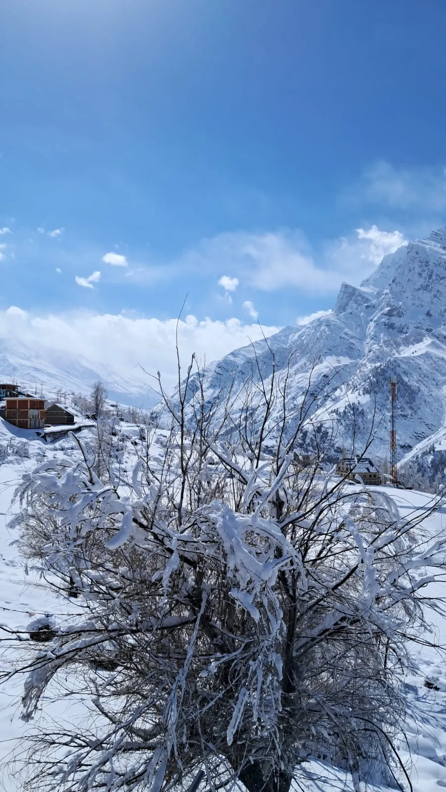 Shiva Homestay Gondhla thumbnail 5