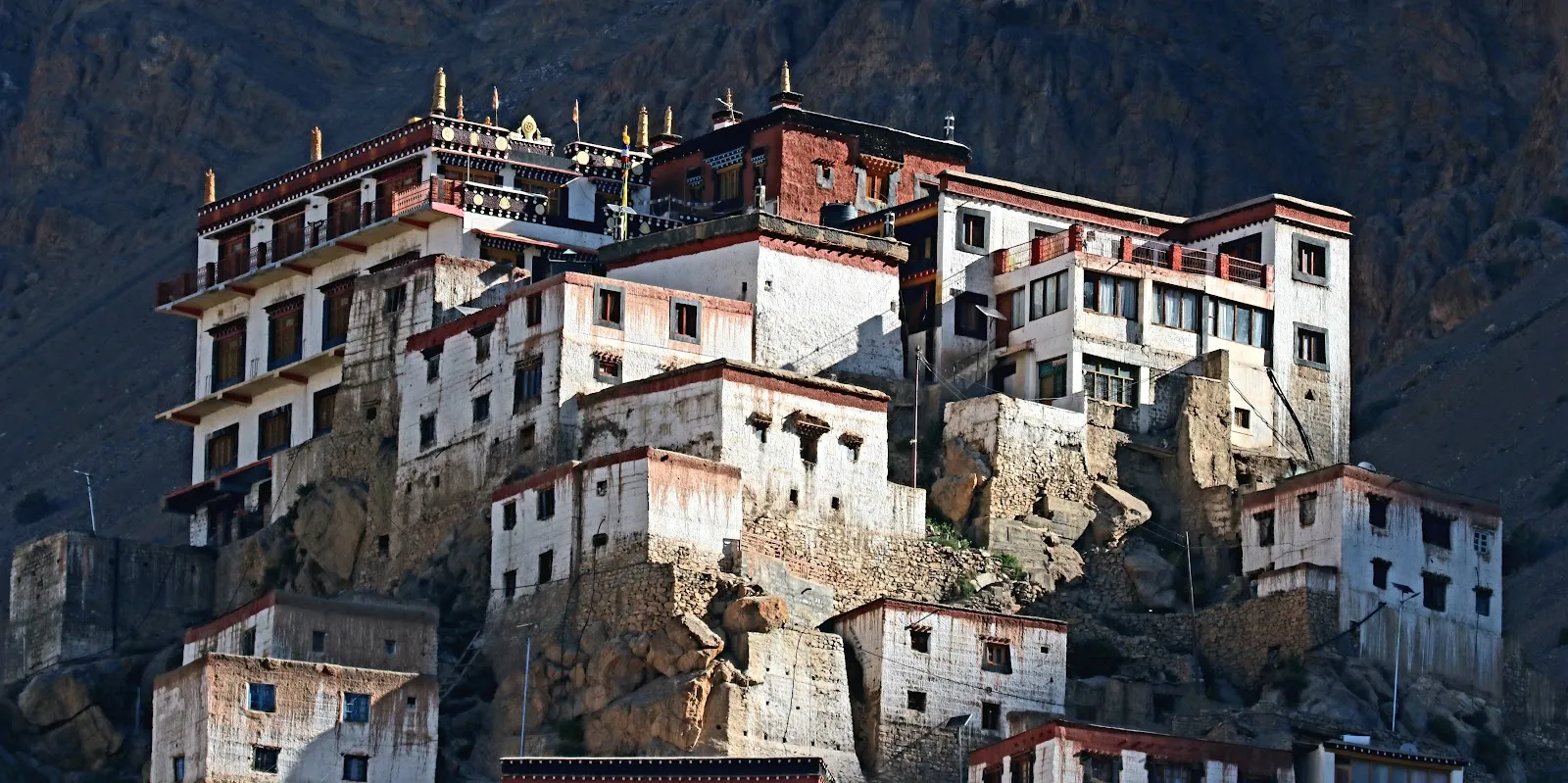 Spiti Village Resort, Kaza