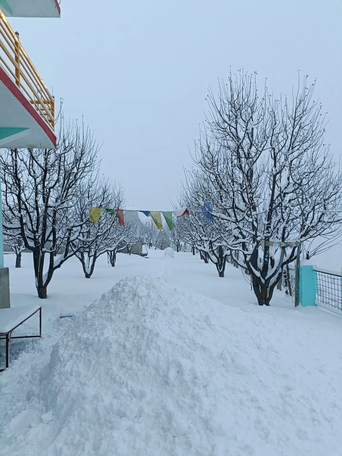 Valley View Homestay thumbnail 3