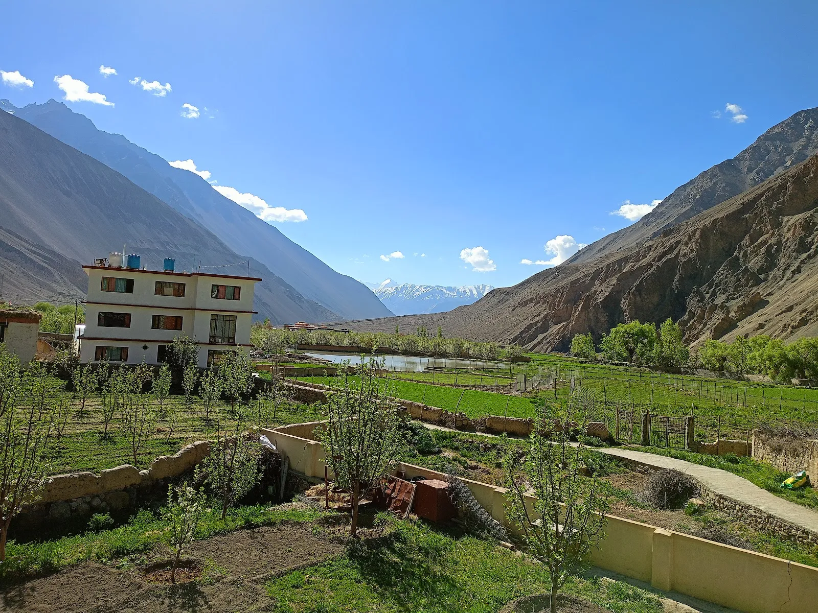 White Lotus Homes Tabo thumbnail 4