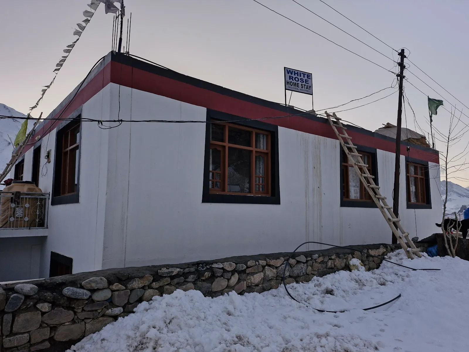 White Rose Homestay thumbnail 5