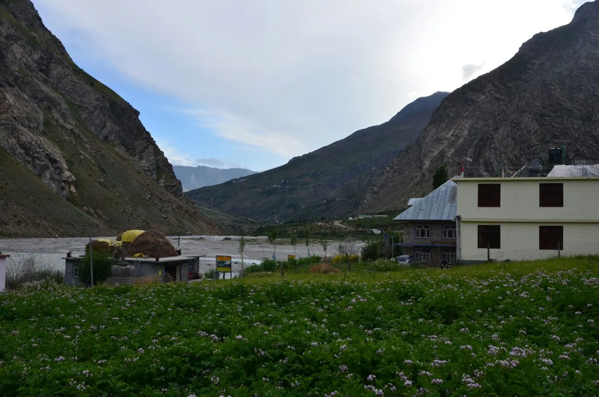 Yak Hotel Jispa, Jispa